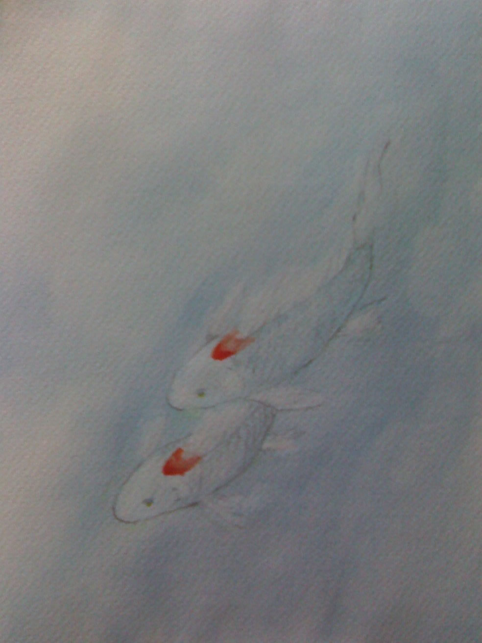 Pesci - acquerello su carta ruvida, cm 14 x 21
