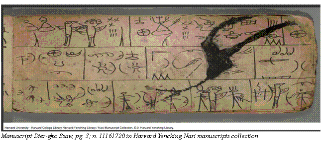 Casella di testo:  Manuscript Dter-gko Ssaw, pg. 3; n. 11161720 in Harvard Yenching Naxi manuscripts collection