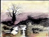 Image4.jpg