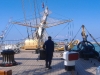 DSCF0880_JPG