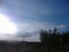 DSCF0977_JPG