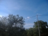 DSCF0981_JPG
