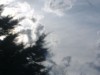DSCF0990_JPG