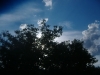 DSCF0996_JPG