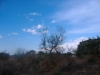 DSCF1006_JPG