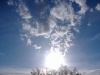 DSCF1019_JPG