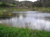 DSCN1291_JPG