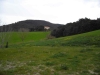 DSCN1297_JPG