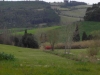 DSCN1298_JPG