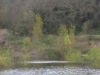 DSCN1299_JPG