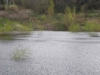 DSCN1305_JPG