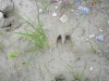 DSCN1306_JPG
