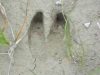 DSCN1307_JPG