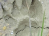 DSCN1308_JPG
