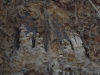 DSCN8120