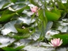 DSCN0279