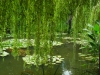DSCN0287