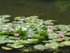DSCN0303