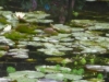 DSCN0311