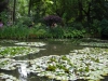 DSCN0319