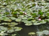 DSCN0327