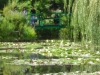DSCN0335