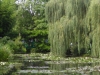 DSCN0367