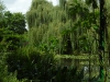 DSCN0423