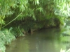 DSCN0483