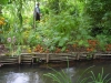 DSCN0492