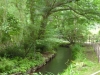 DSCN0493