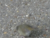 DSCN0500