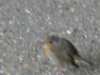 DSCN0501