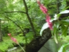 DSCN0511