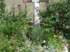 DSCN0526