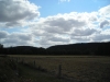 DSCN0542
