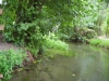DSCN9903