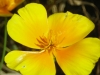 DSCN9919
