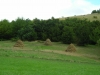 DSCN9967