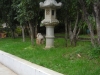 DSCN2530