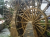 DSCN3025