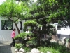 DSCN2248
