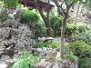 DSCN2272