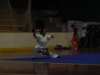 DSCN0962