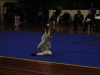 DSCN0995