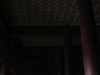 DSCN9879 (Copia)