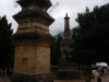 DSCN1652 (Copia)