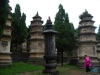 DSCN1655 (Copia)
