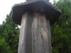 DSCN1657 (Copia)