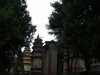 DSCN1661 (Copia)